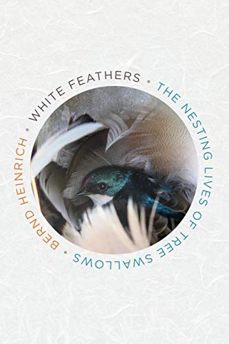 Read White Feathers: The Nesting Lives of Tree Swallows, written by Bernd Heinrich Read White Feathers: The Nesting Lives of Tree Swallows, written by Bernd Heinrich