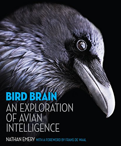 Read Bird Brain: An Exploration of Avian Intelligence, written by Nathan Emery Read Bird Brain: An Exploration of Avian Intelligence, written by Nathan Emery
