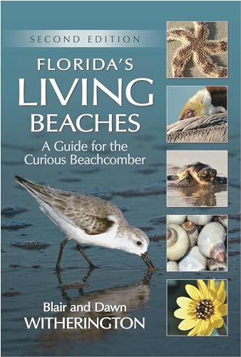 Read Florida's Living Beaches: A Guide for the Curious Beachcomber, written by Blair Witherington Read Florida's Living Beaches: A Guide for the Curious Beachcomber, written by Blair Witherington