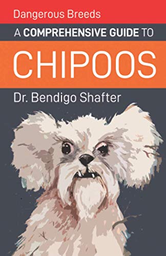 Read Dangerous Breeds: A Comprehensive Guide to Chipoos, written by Dr. Bendigo Shafter Read Dangerous Breeds: A Comprehensive Guide to Chipoos, written by Dr. Bendigo Shafter