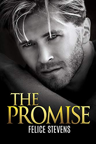 Read The Promise (Lost in New York Book 2), written by Felice Stevens Read The Promise (Lost in New York Book 2), written by Felice Stevens