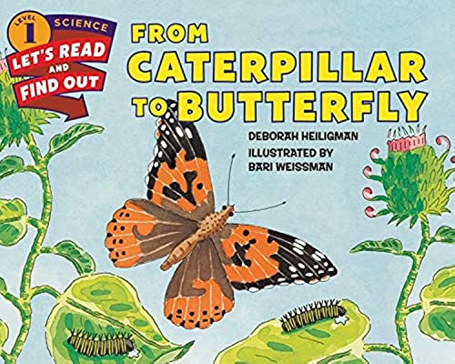 Read From Caterpillar to Butterfly (Let's-Read-and-Find-Out Science 1), written by Deborah Heiligman Read From Caterpillar to Butterfly (Let's-Read-and-Find-Out Science 1), written by Deborah Heiligman