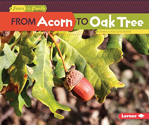 Read From Acorn to Oak Tree (Start to Finish, Second Series), written by Emma Carlson-Berne Read From Acorn to Oak Tree (Start to Finish, Second Series), written by Emma Carlson-Berne