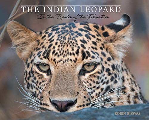 Read The Indian Leopard: In the Realm of the Phantom, written by Robin Biswas Read The Indian Leopard: In the Realm of the Phantom, written by Robin Biswas