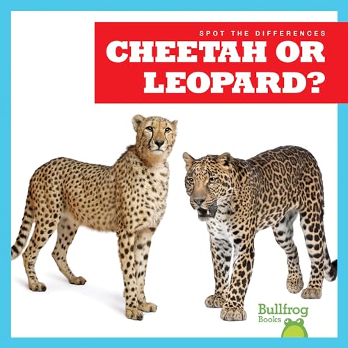 Read Cheetah or Leopard? (Bullfrog Books: Spot the Differences), written by Jamie Rice Read Cheetah or Leopard? (Bullfrog Books: Spot the Differences), written by Jamie Rice