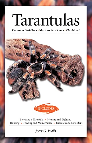 Read Tarantulas (Advanced Vivarium Systems), written by Jerry G. Walls Read Tarantulas (Advanced Vivarium Systems), written by Jerry G. Walls