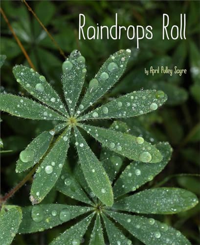 Read Raindrops Roll (Weather Walks), written by April Pulley Sayre