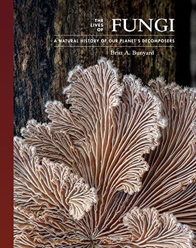 Read The Lives of Fungi: A Natural History of Our Planet's Decomposers (The Lives of the Natural World), written by Britt A. Bunyard Read The Lives of Fungi: A Natural History of Our Planet's Decomposers (The Lives of the Natural World), written by Britt A. Bunyard