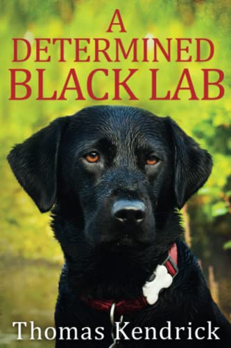 Read A Determined Black Lab, written by Thomas Kendrick Read A Determined Black Lab, written by Thomas Kendrick