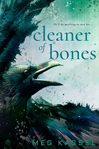 Read Cleaner of Bones (Black Bird of the Gallows), written by Meg Kassel