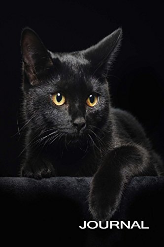 Read Black Cat Journal (The Black Cat Series), written by Snapping Turtle Books