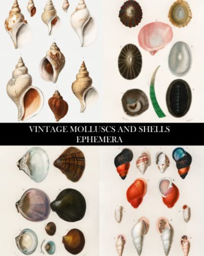 Read Vintage Molluscs and Shells Ephemera: Conchology Decorative Paper for Collage, Decoupage and Junk Journals, written by Vintage Revisited Press