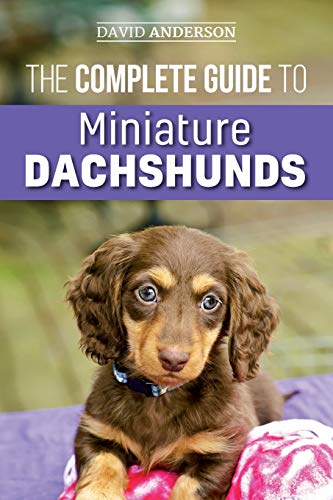 Read The Complete Guide to Miniature Dachshunds: A step-by-step guide to successfully raising your new Miniature Dachshund, written by David Anderson