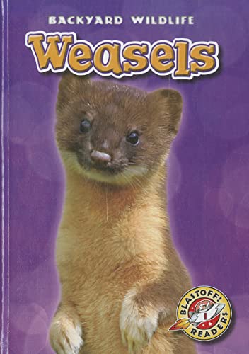 Read Weasels (Blastoff! Readers: Backyard Wildlife), written by Megan Borgert-Spaniol