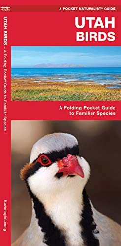 Read Utah Birds: A Folding Pocket Guide to Familiar Species (Nature Observation North America), written by James Kavanagh; Waterford Press