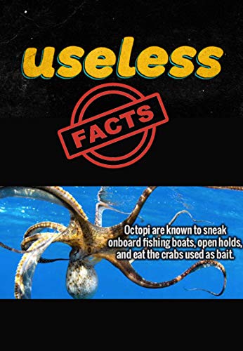 Read Useless Facts: That Will Make You Much More Interesting., written by Neeraj Kumar Read Useless Facts: That Will Make You Much More Interesting., written by Neeraj Kumar