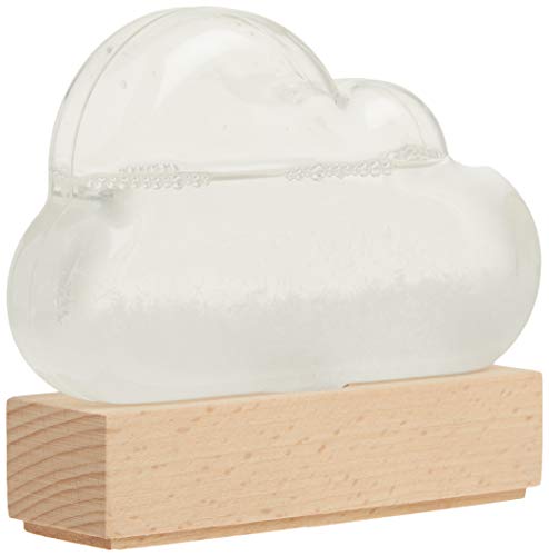 Read Storm Cloud: A Weather Predicting Instrument, written by Bitten