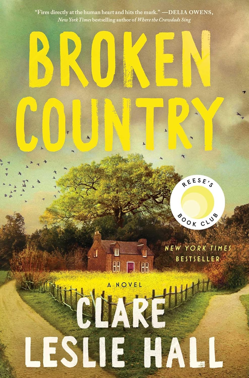 Read Broken Country, written by Clare Leslie Hall Read Broken Country, written by Clare Leslie Hall